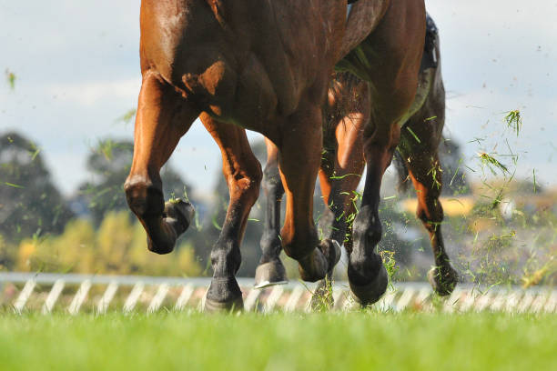 istock Horse racing action 957245998