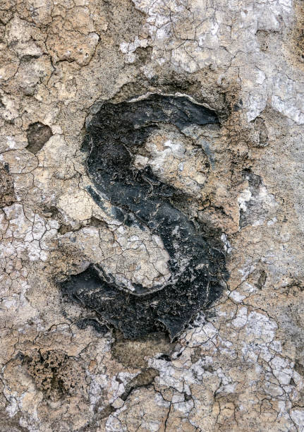 istock Written Wording in Distressed State Typography Found Letter S 957266308
