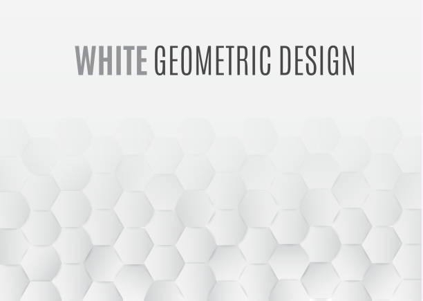 istock Beautiful white abstract texture .Vector background. Can be used in cover design, book design, poster, website background or advertising 957270544