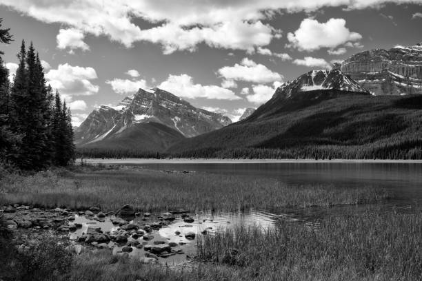 istock Canadian Rockies scenery along Icefields Parkway 957271154