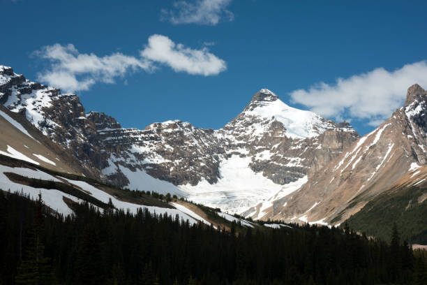 istock View of Parker Ridge on Icefields Parkway 957271158