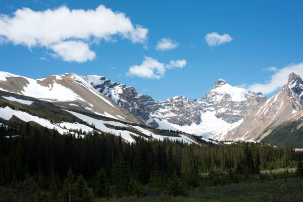istock View of Parker Ridge on Icefields Parkway 957271160