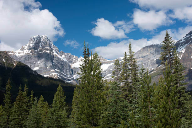 istock Canadian Rockies scenery along Icefields Parkway 957271182