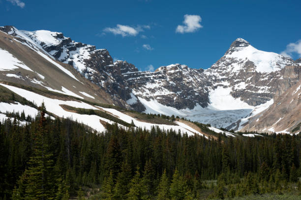 istock View of Parker Ridge on Icefields Parkway 957271188