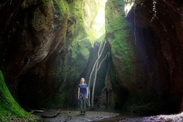 istock Natural gorge among the luxuriant vegetation. 957271344