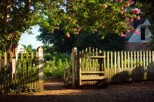 Beautiful Garden Bathed in Golden Sunlight