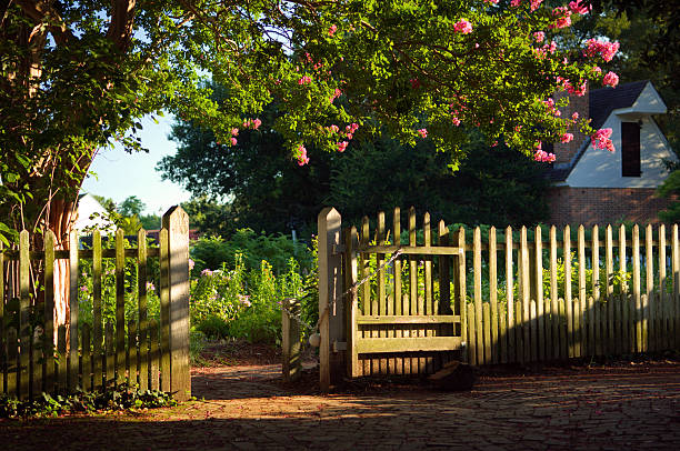 belo jardim - gardening single flower house flower imagens e fotografias de stock