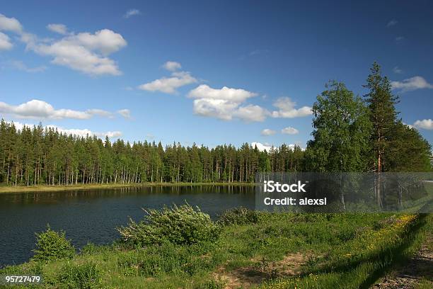 Jezioro W Lesie - zdjęcia stockowe i więcej obrazów Bez ludzi - Bez ludzi, Drzewo, Fotografika