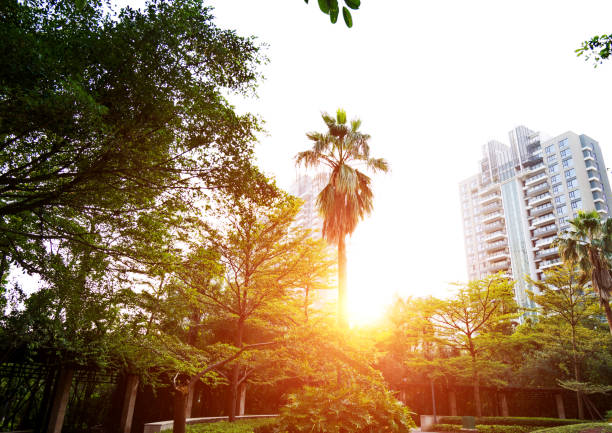 Modern apartment buildings and trees.