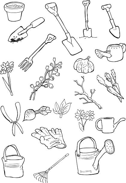 illustrations, cliparts, dessins animés et icônes de jardinage choses - squash flower plant single flower