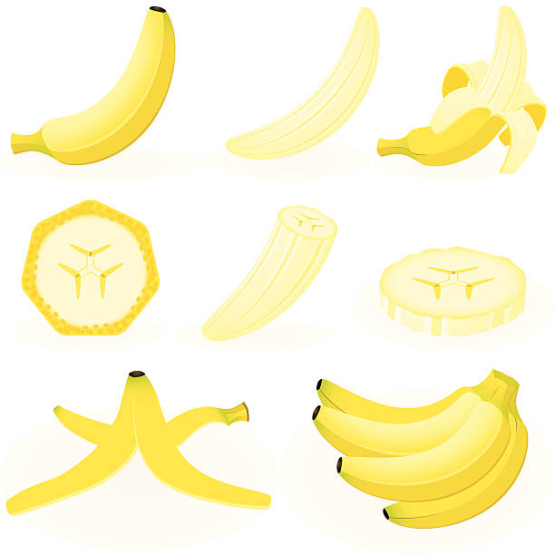 ilustrações de stock, clip art, desenhos animados e ícones de banana - ramo parte de uma planta ilustrações