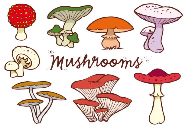 Vector illustration of Mushrooms Clip Art Collection