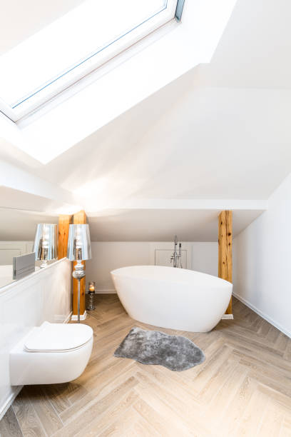 istock Bathtub and toilet 957294238