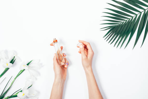 istock Perfume in female hands, flowers and palm leaf 957295086