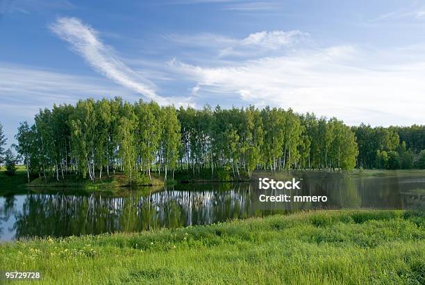 Lato Lake - zdjęcia stockowe i więcej obrazów Bez ludzi - Bez ludzi, Brzeg wody, Drzewo