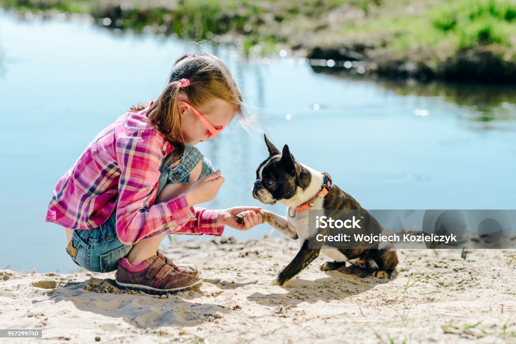 Chica de niño jugando con perro boston terrier en el Banco de arena de río al aire libre - Foto de stock de Actividades recreativas libre de derechos