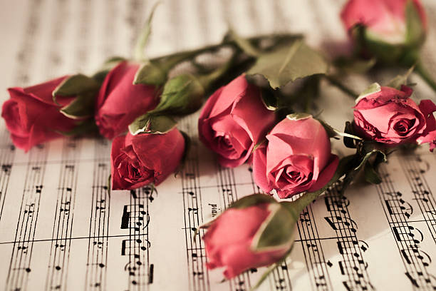 istock Six red roses on  musical sheet 95730601