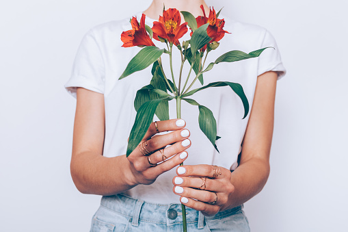 Cropped image of a girl in jeans and a T-shirt holding a red flower in her hands with a manicure on a white background