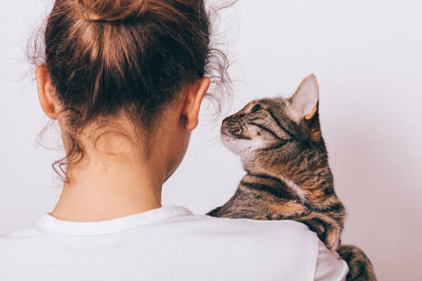 istock Tabby cat sitting on female shoulder 957307102