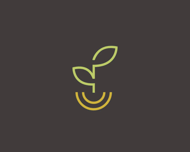 Linear healthy food vector . Leaf smile plate idea type