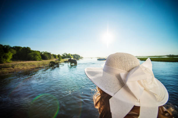 Female with a white hat looking at elephant coming from the river Chobe River Chobe National Park Botswana Africa