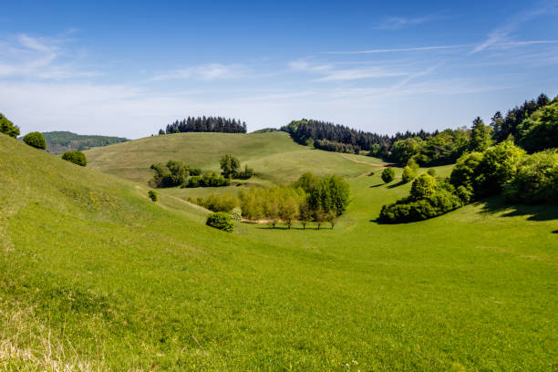 badberg w kaiserstuhl w niemczech. idealne miejsce na piesze wędrówki i pikniki. - kaiserstuhl black forest germany autumn zdjęcia i obrazy z banku zdjęć