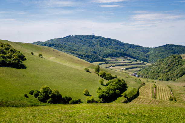 patrząc na kaiserstuhl na szczycie badberg, niemcy. idealne miejsce na piesze wędrówki i pikniki. - kaiserstuhl black forest germany autumn zdjęcia i obrazy z banku zdjęć