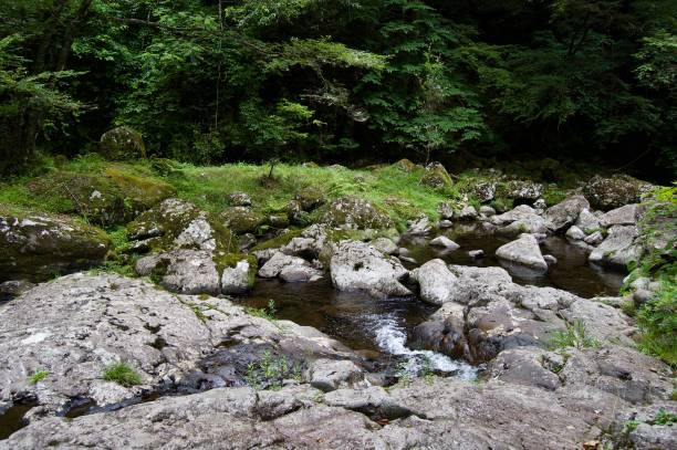 istock Akame 48 Waterfalls: Mysterious scenery with giant trees & huge moss covered rock formations, untouched nature, lush green vegetation, cascading waterfalls & natural pools in rural Japan near Osaka 957316642