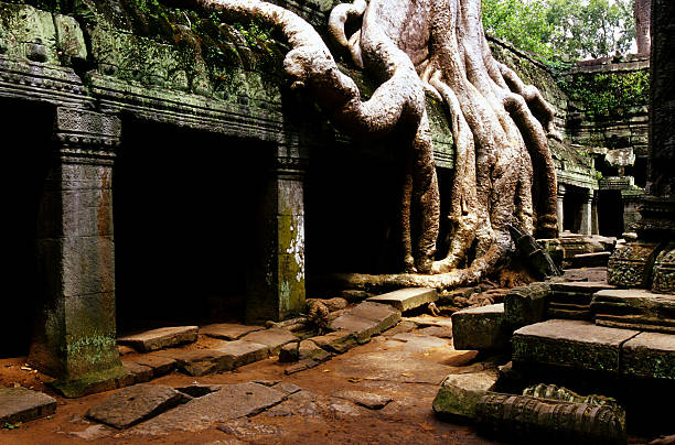 ta phrom, angkor wat, cambodge - ankor photos et images de collection