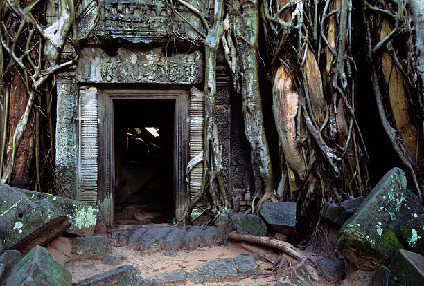 ta phrom porta de entrada, angkor wat, camboja - ankor imagens e fotografias de stock