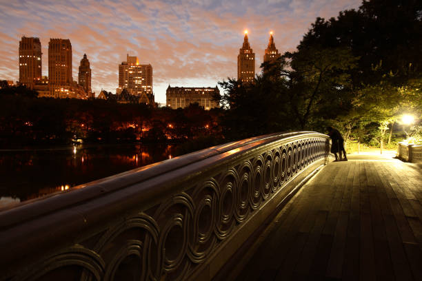 Bow bridge, Central Park, New York City after light rain in early morning