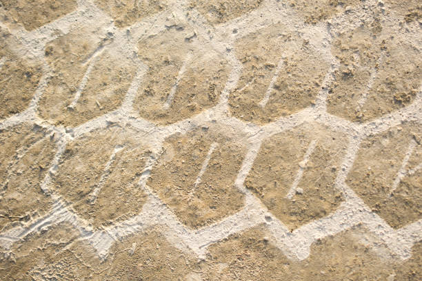 the track of the tractor wheels in the sand Shot close-up