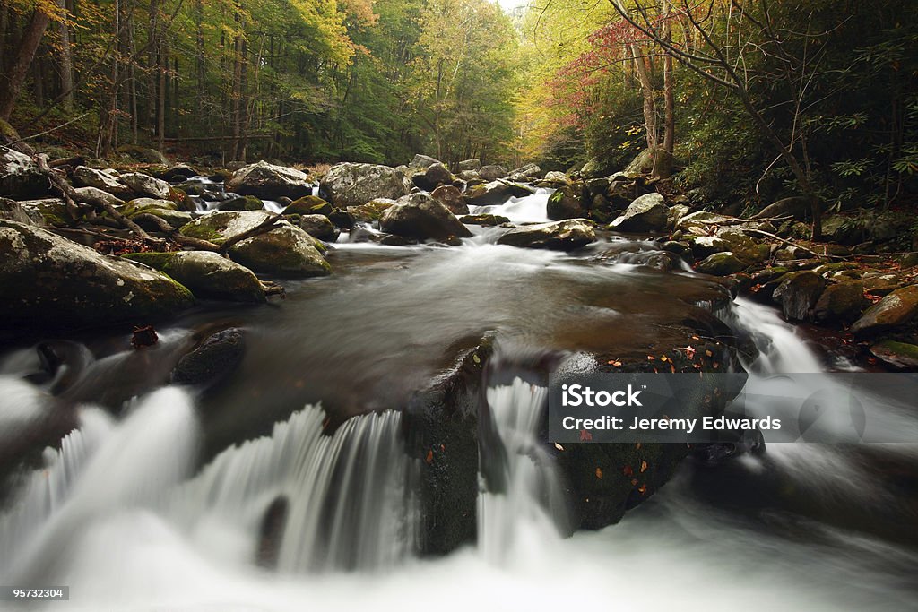 중간 갈래 리틀 리버, Great Smoky Mountains National Park - 로열티 프리 그레이트 스모키 산맥 국립 공원 스톡 사진