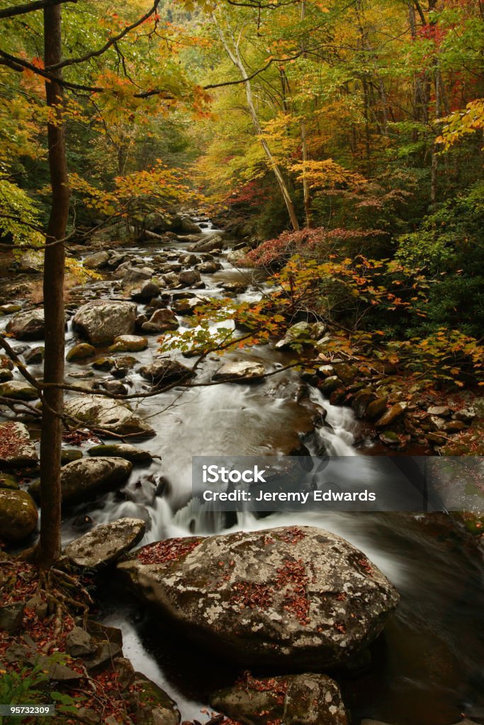 중간 갈래 리틀 리버, Great Smoky Mountains National Park - 로열티 프리 0명 스톡 사진