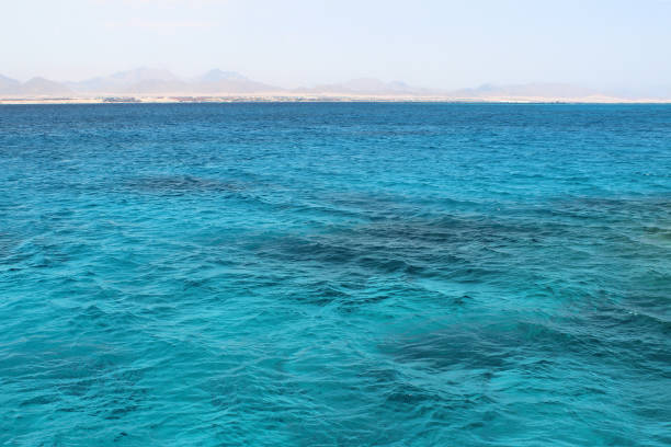 istock beautiful Red Sea coast on hot egypt 957323544