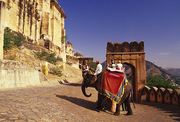 istock Elephant carrying people to Amber Palace 95732387