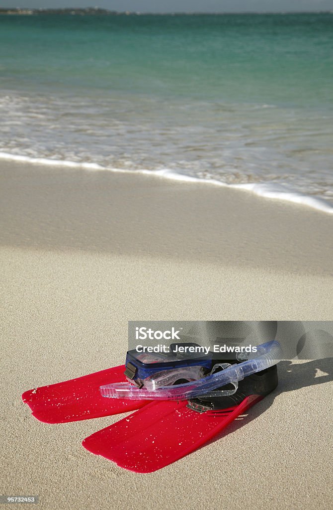 Panorámica playa Caribean - Foto de stock de Aleta - Equipo de buceo libre de derechos