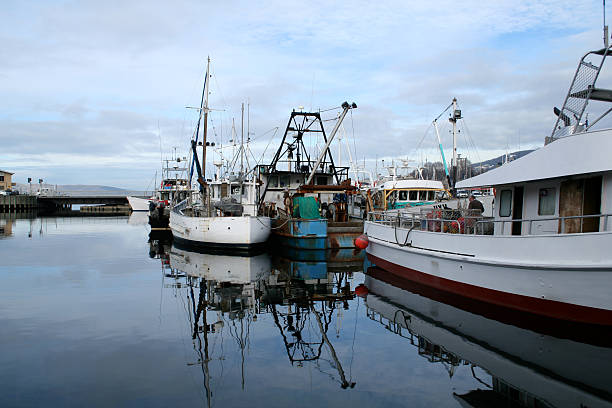 istock Hobart Harbour, Tasmania 95732686