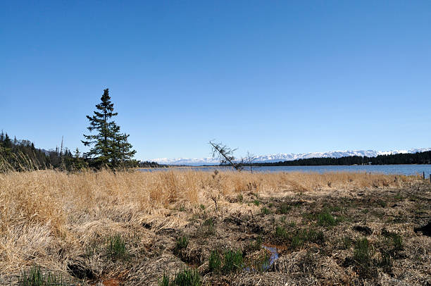 istock Kachemak Bay Homer Alaska 95733090