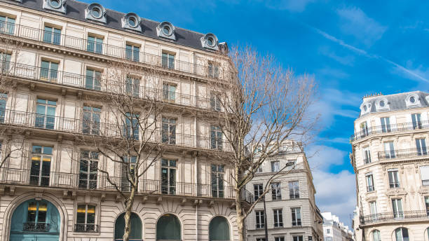istock Paris, beautiful building in the center 957331638