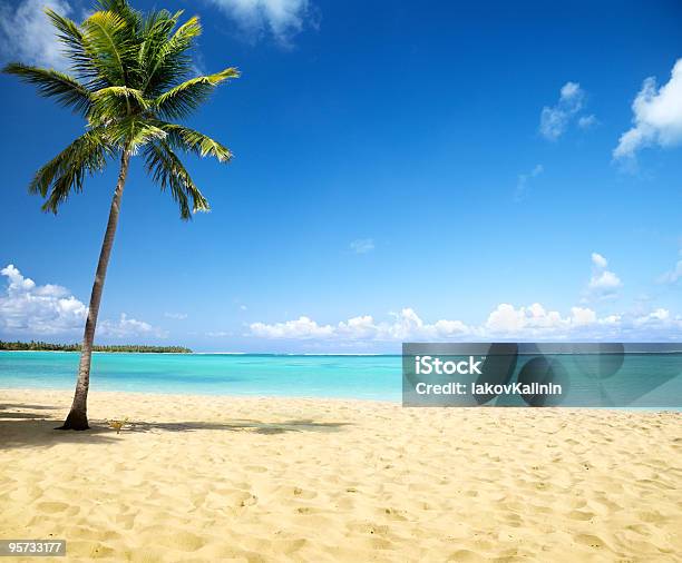 Mar Y Coconut Palm Foto de stock y más banco de imágenes de Playa - Playa, Arena, Mar