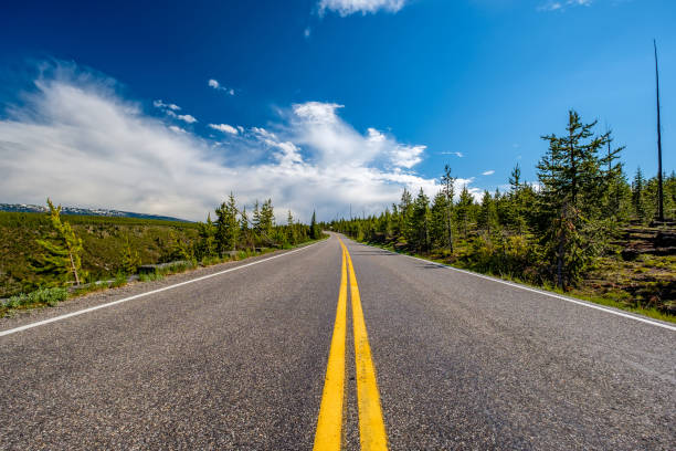 istock Highway in Yellowstone National Park 957333854