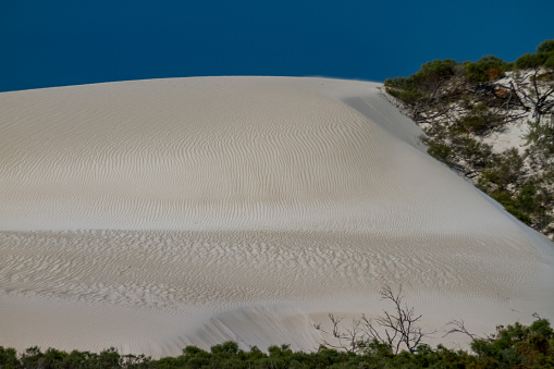 The white sand dunes south of Cervantes in Western Australia are often pristine with the ripples learly visible.