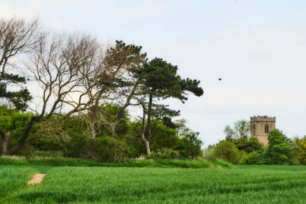 istock PAUL HUMBER RIVER BANK NEAR HULL YORKSHIRE 957344896