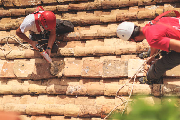 istock Manual workers in action on the roofs of Rome 957345598