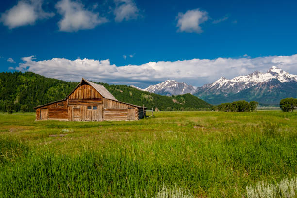 istock Old barn in Grand Teton Mountains 957351990
