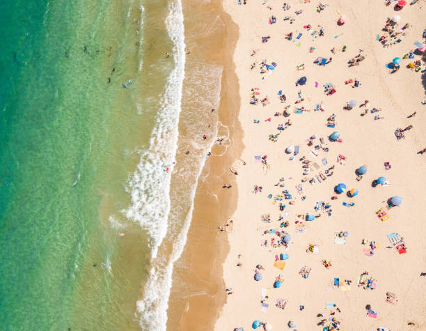 istock Aerial view of the beach 957360096