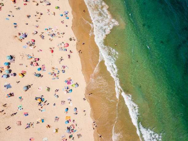 istock Aerial view of the beach 957360098