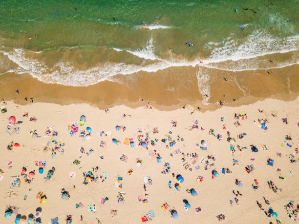 istock Aerial view of the beach 957360104
