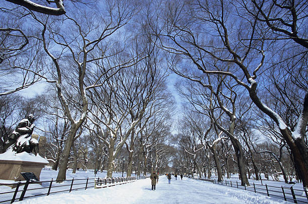 istock A snowy winters day in Central Park New York 95736327